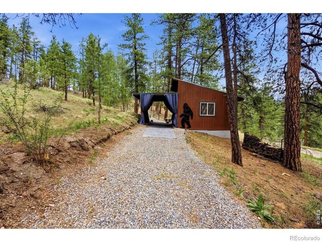102 Insmont Drive, Bailey, CO 80421