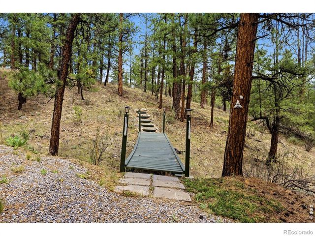102 Insmont Drive, Bailey, CO 80421
