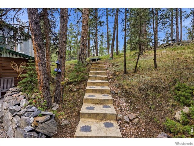 102 Insmont Drive, Bailey, CO 80421