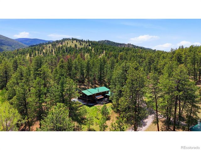 102 Insmont Drive, Bailey, CO 80421