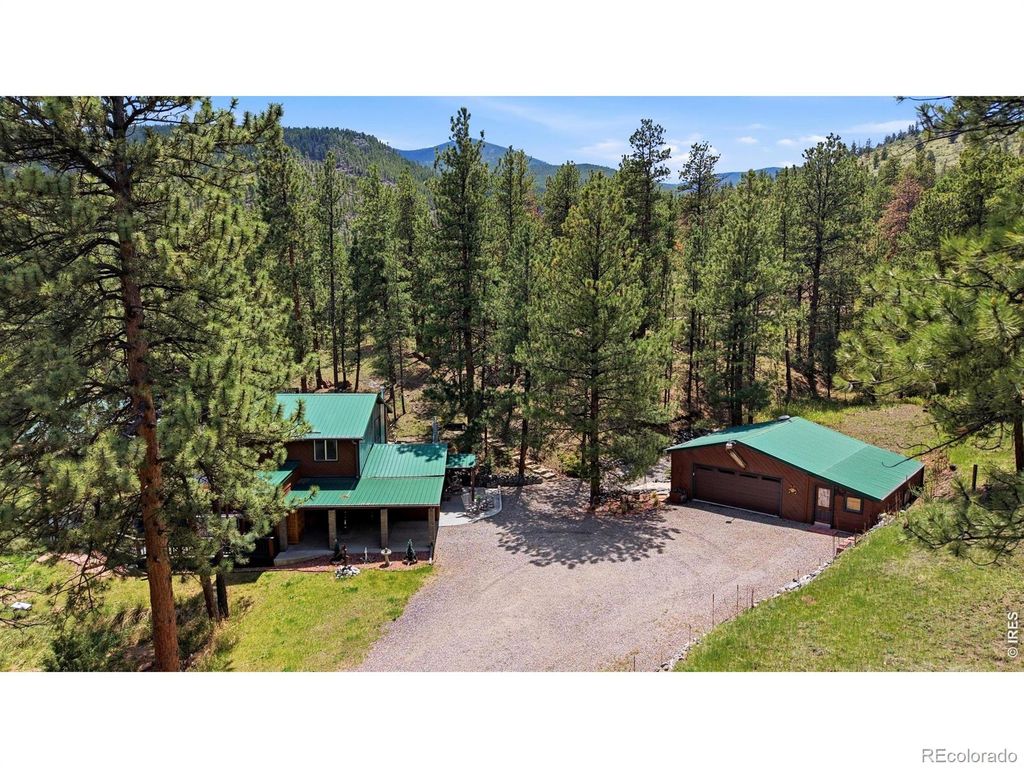 102 Insmont Drive, Bailey, CO 80421