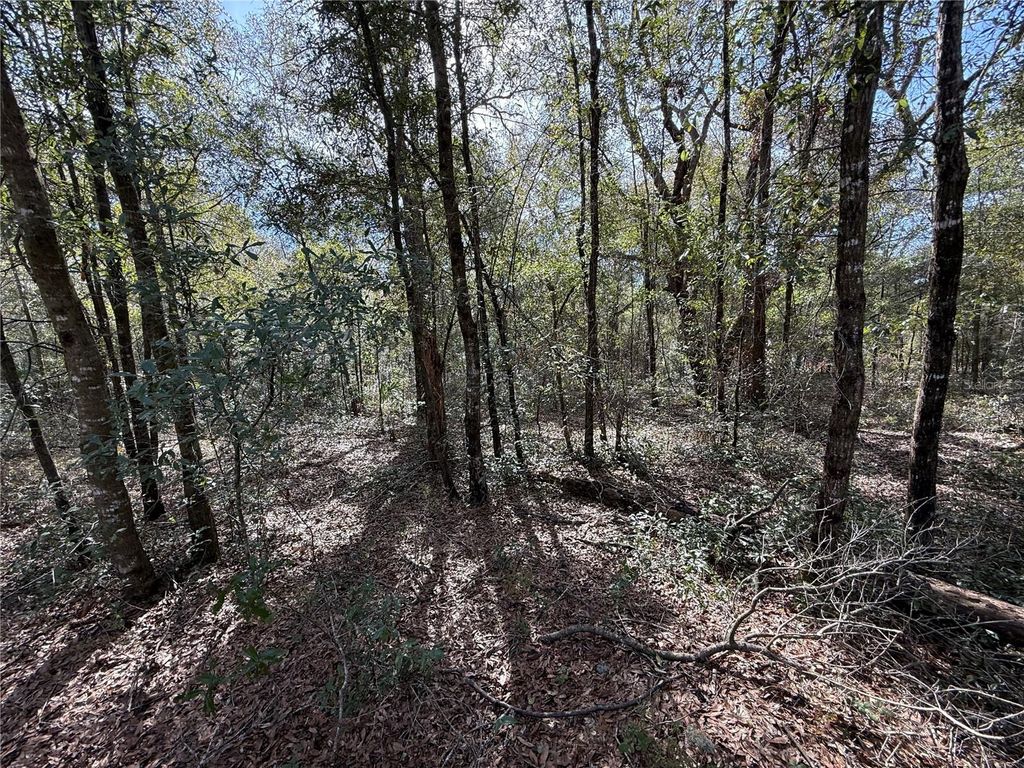 TBD NE 80TH STREET, Bronson, FL 32621