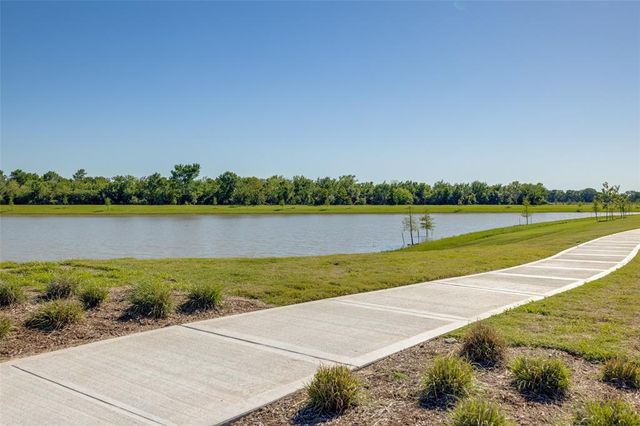 1123 Rustic Willow Drive, Beasley, TX 77417