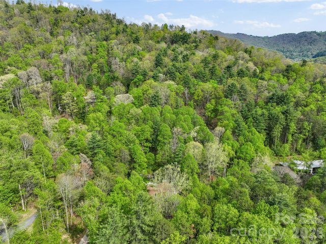 120 Carter Cove Road, Asheville, NC 28804