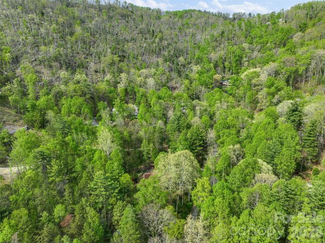 120 Carter Cove Road, Asheville, NC 28804