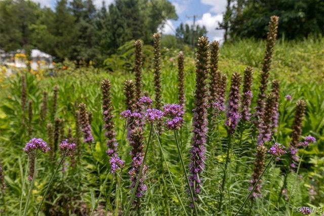 2852 Dogtown Rd, Goochland, VA 23063