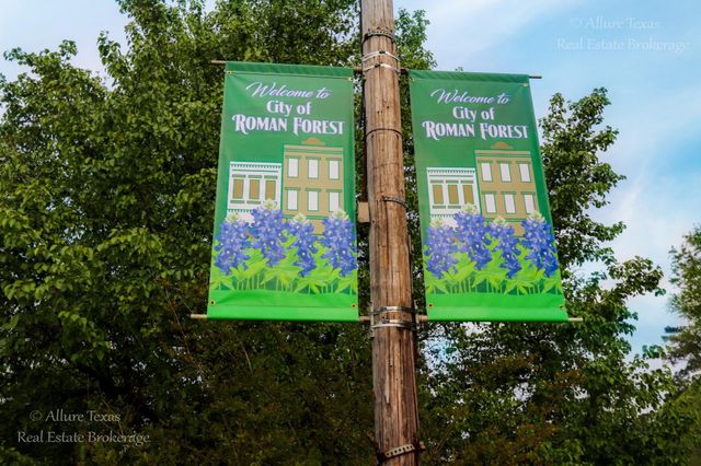 TR A-1,A-2 Artesian Way, New Caney, TX 77357