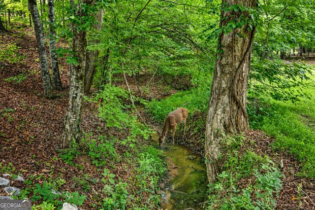 560 Hawks Trail, Newborn, GA 30056