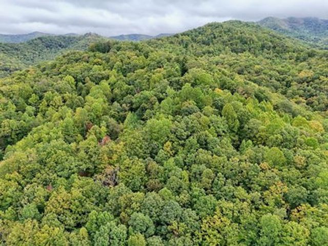 Lot 1 Skyview Drive, Hayesville, NC 28904
