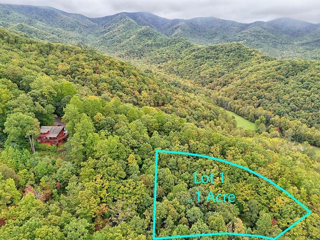 Lot 1 Skyview Drive, Hayesville, NC 28904