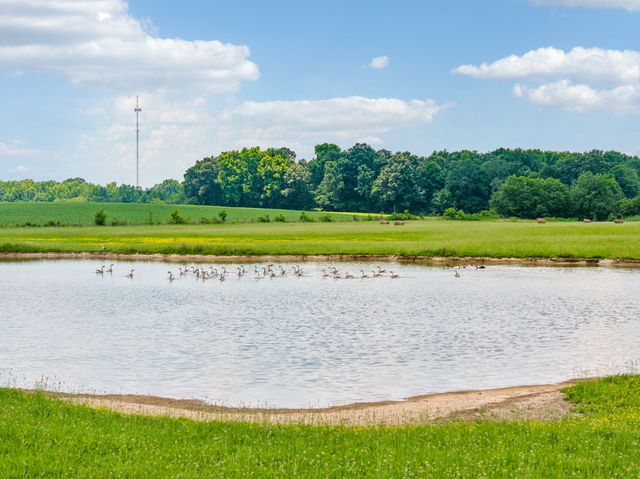 0 Adams Rd, Hillsboro, TN 37342