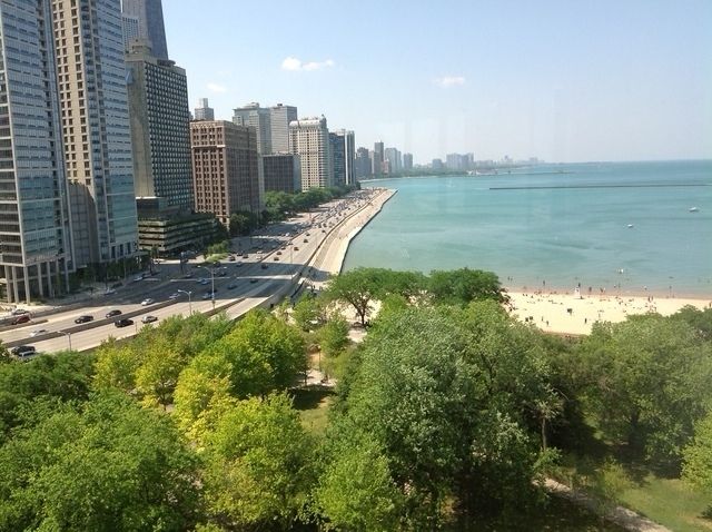 505 N Lake Shore Drive 1117, Chicago, IL 60611