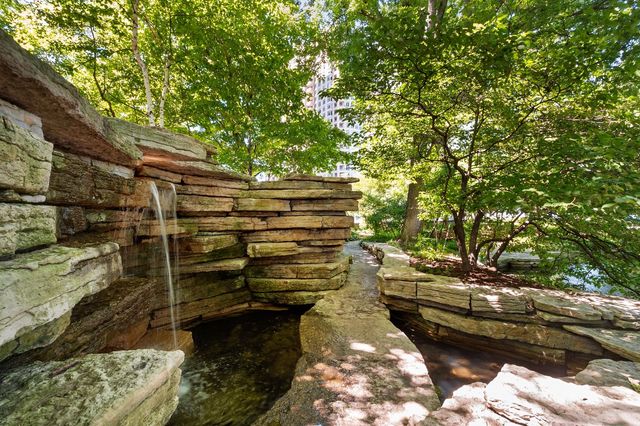 505 N Lake Shore Drive 1117, Chicago, IL 60611