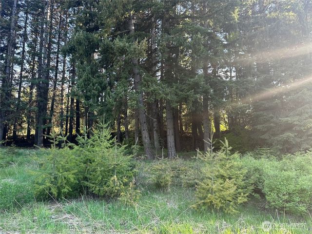 0 Beaver Lane, Cle Elum, WA 98922