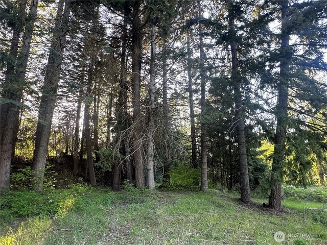 0 Beaver Lane, Cle Elum, WA 98922