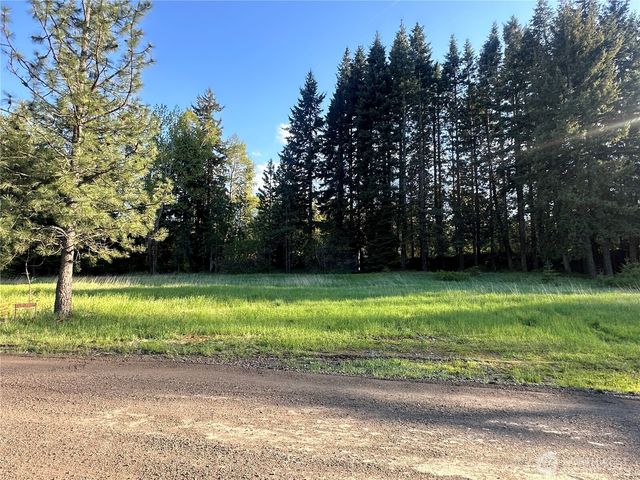 0 Beaver Lane, Cle Elum, WA 98922