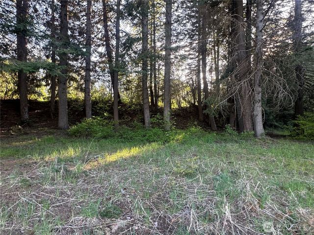 0 Beaver Lane, Cle Elum, WA 98922