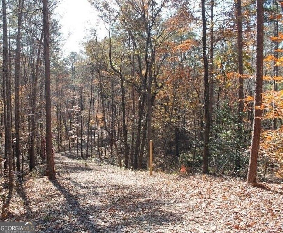 442 Laurel Mountain Drive, Toccoa, GA 30577 — photo 5