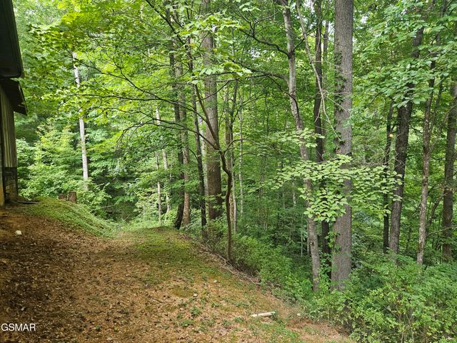 422 Ball Mountain Way, Gatlinburg, TN 37738