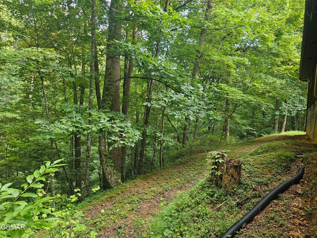 422 Ball Mountain Way, Gatlinburg, TN 37738