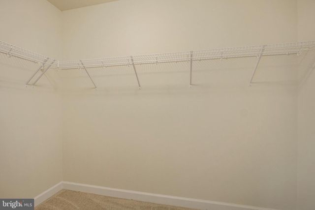 6262 CASDIN DR, Alexandria, VA 22310