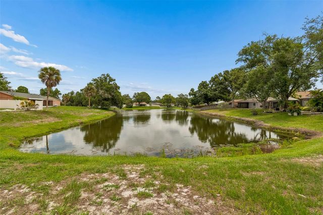 11318 BLACKBARK DRIVE, Riverview, FL 33579