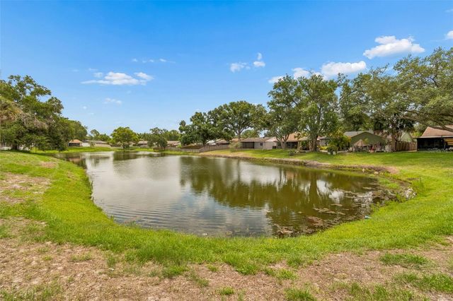 11318 BLACKBARK DRIVE, Riverview, FL 33579