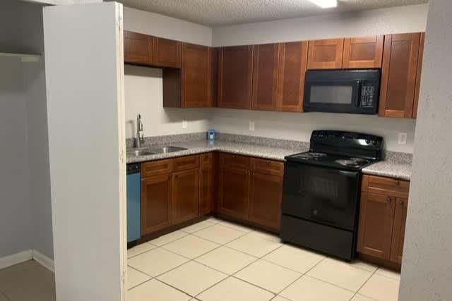 3131 Cliff Swallow Court, Spring, TX 77373