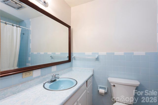 138 Stillwagon Lane, Cedar Mountain, NC 28718