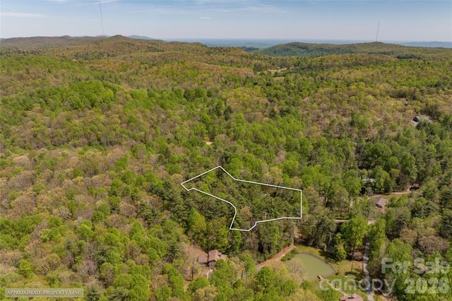 138 Stillwagon Lane, Cedar Mountain, NC 28718