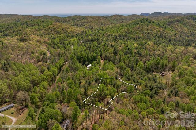 138 Stillwagon Lane, Cedar Mountain, NC 28718