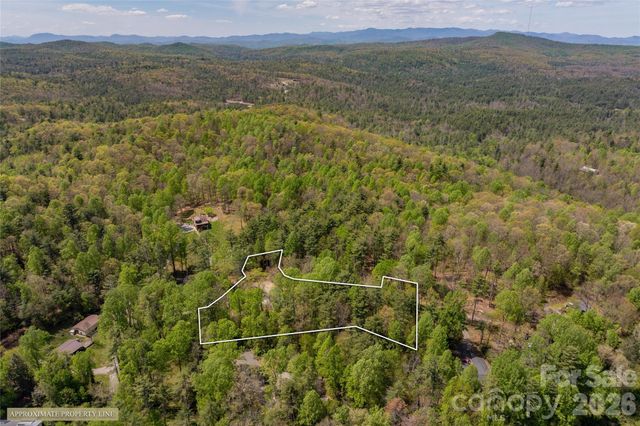 138 Stillwagon Lane, Cedar Mountain, NC 28718