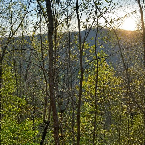 Lot 5 The Heights, Cherry Log, GA 30522