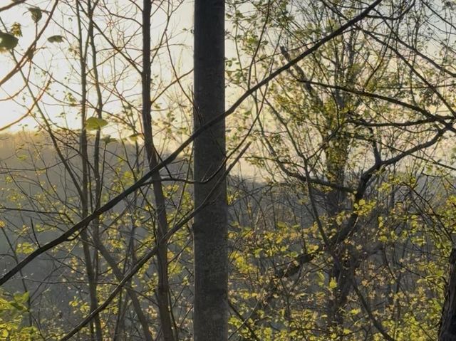 Lot 5 The Heights, Cherry Log, GA 30522