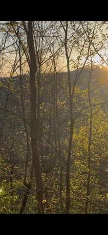 Lot 5 The Heights, Cherry Log, GA 30522