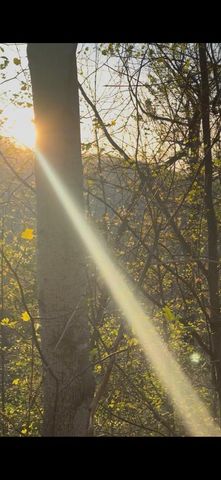 Lot 5 The Heights, Cherry Log, GA 30522