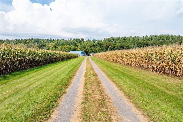 N3555 Nichols Road, Black River Falls, WI 54615