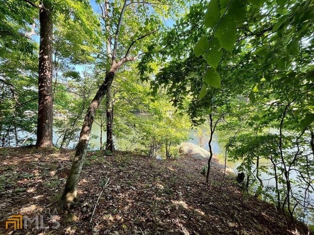 172 Nighthawk Court, Monticello, GA 31064