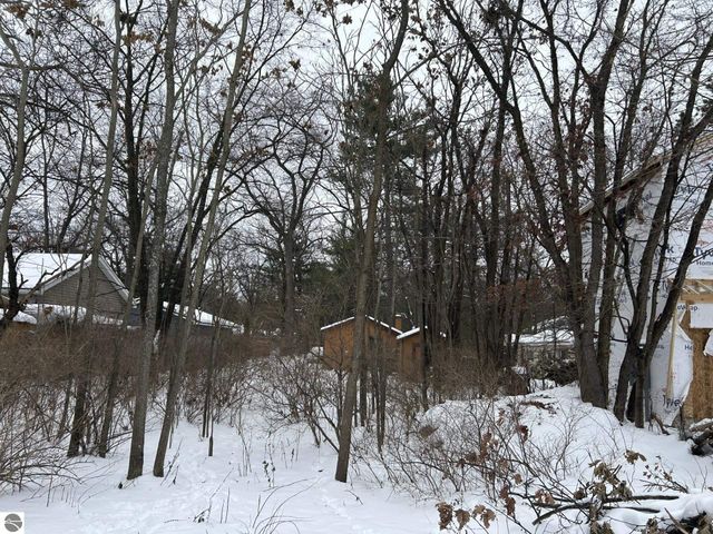 1235 Oakland Street, Traverse City, MI 49686