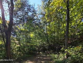 Lot 98 Short Redbud Lane, Sevierville, TN 37876