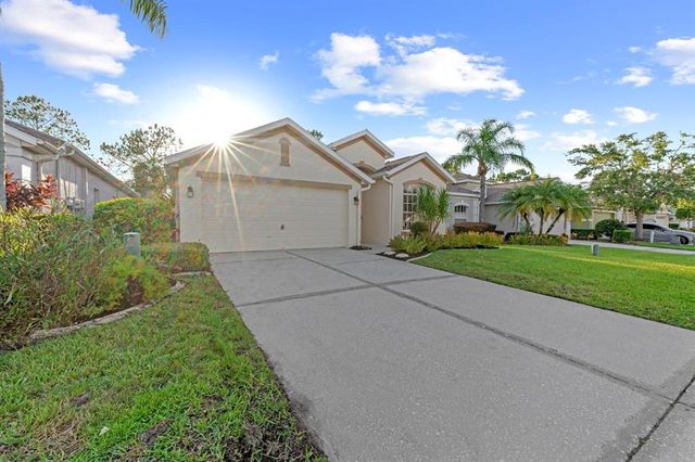3203 BANYAN HILL LANE, Land O Lakes, FL 34639