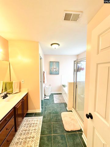 208 Saints Creek Lane, Irmo, SC 29063