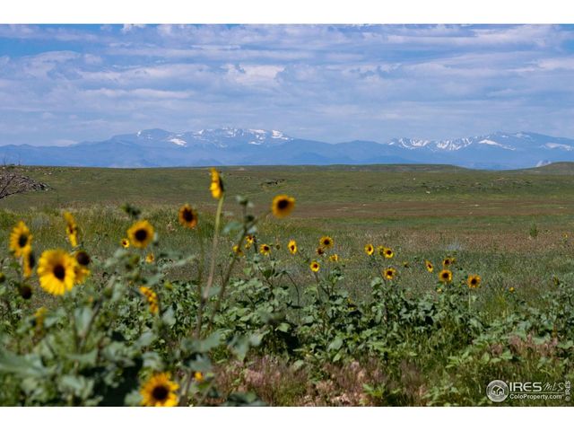 3 TBD County Road 21, Carr, CO 80612