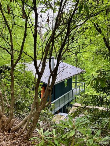 68 Lakey Gap Heights, Black Mountain, NC 28711