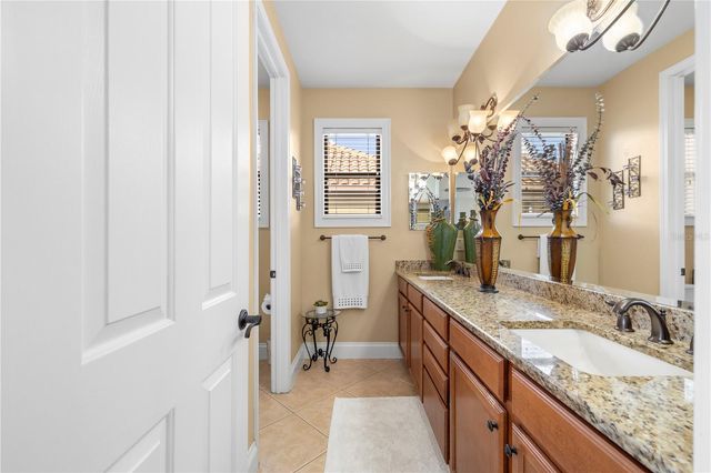 20120 SHADY HILL LANE, Tampa, FL 33647