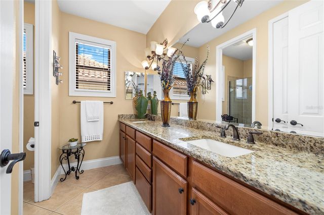 20120 SHADY HILL LANE, Tampa, FL 33647