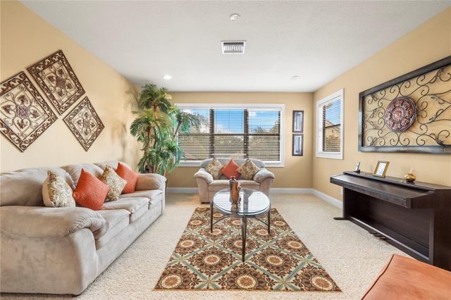 20120 SHADY HILL LANE, Tampa, FL 33647