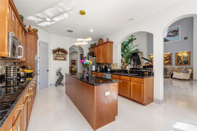 20120 SHADY HILL LANE, Tampa, FL 33647