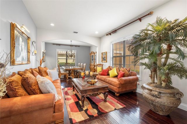 20120 SHADY HILL LANE, Tampa, FL 33647