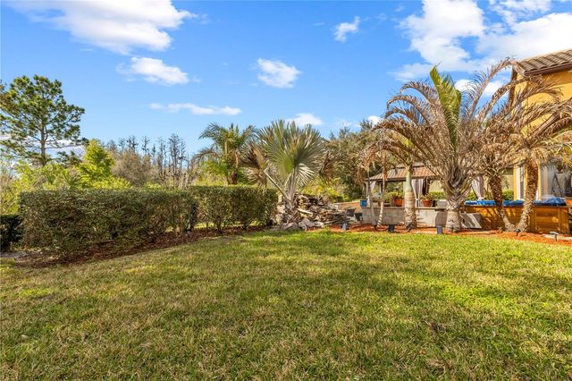 20120 SHADY HILL LANE, Tampa, FL 33647